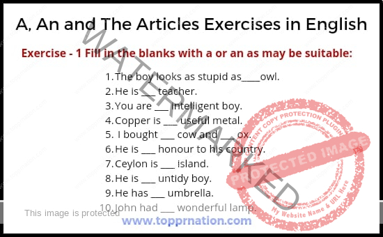 A, An and The Articles Exercises in English Grammar