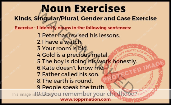 Noun Exercises - Kinds, Singular/Plural, Gender and Case Exercises