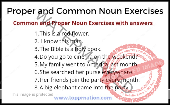 Common and Proper Noun Exercises with answers