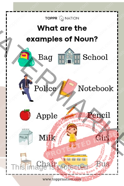 What are the examples of noun? (Nouns Sentences)