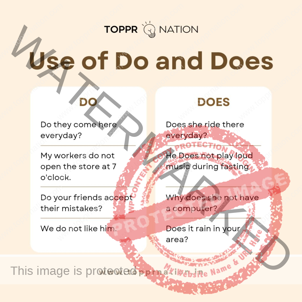 Use of Do and Does - Rules, Examples and Sentences